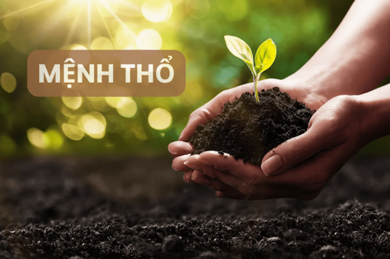 Vật phẩm cá nhân màu sắc phong thủy hợp mệnh Thổ mang đến năng lượng tốt.